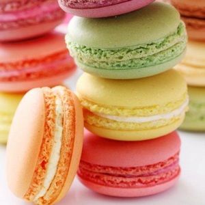 Meet your Posher, Dafne